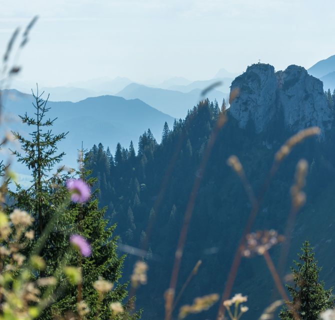 Naturpark Ammergauer Alpen